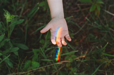 31 Inspiring Quotes About Adoption [Get the Tissues!].